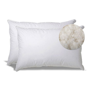 stomach-sleeper-pillow
